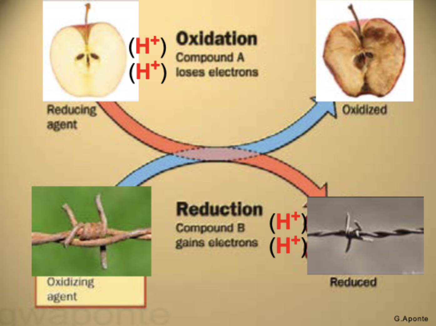 <p>Oxidation - compound loses electrons </p><p>Reduction - compound B gains electrons</p>