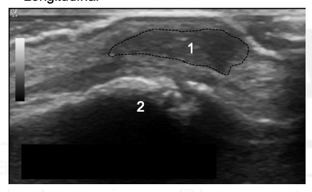 <p>What is this?</p>