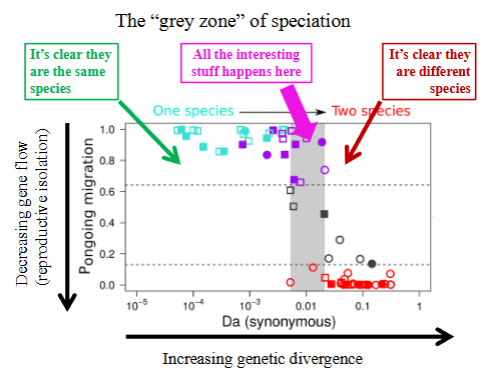 <p><span style="background-color: transparent;">Grey zone of speciation</span></p>