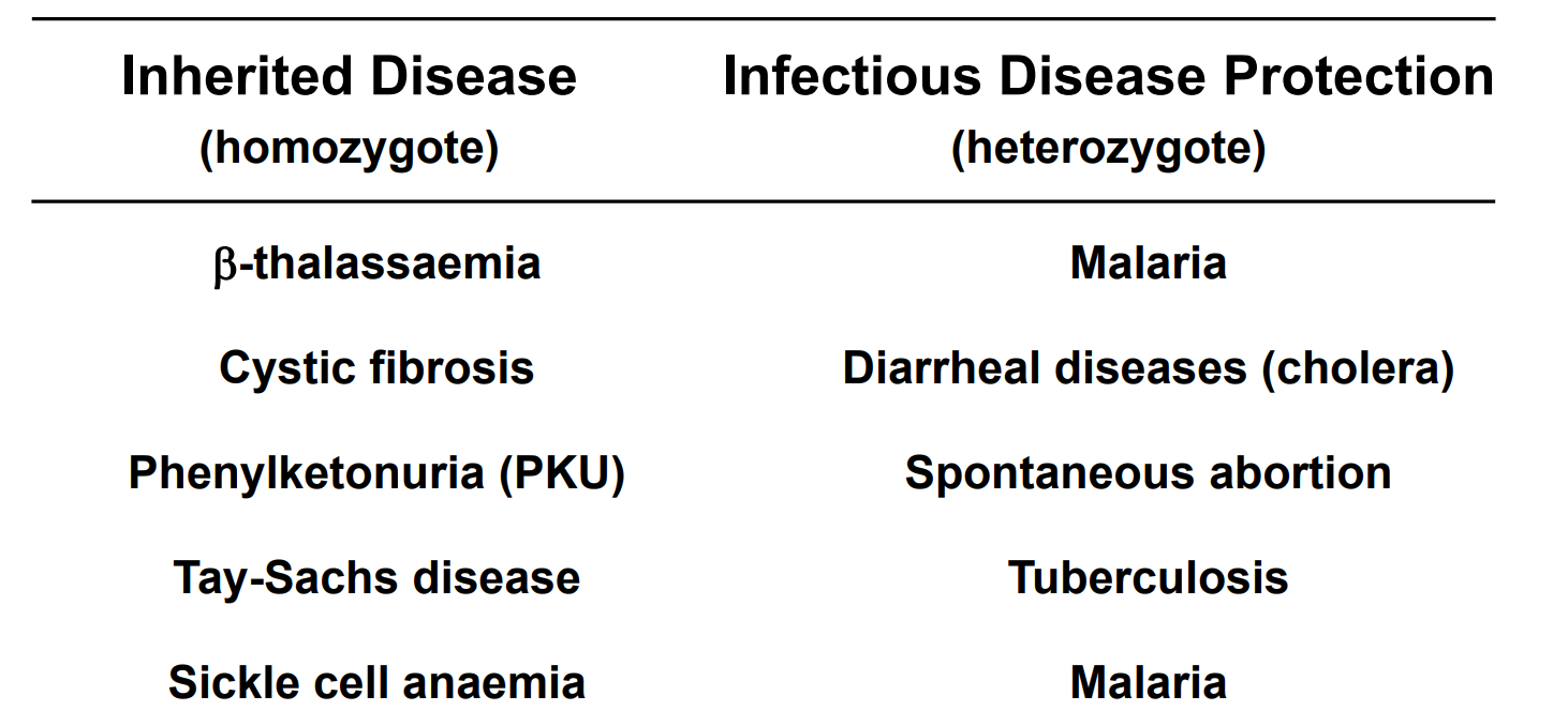 <ul><li><p>There are a multitude of conditions/diseases (> 4000) which result from the ‘bad’ or detrimental effects of mutations that are passed on through the generations → so why do they persist in the population </p></li></ul><ul><li><p>Many genetic diseases only manifest when the individual has inherited 2 mutated copies of the same gene (homozygous) </p><ul><li><p>Recessive inheritance: the affected person must be homozygous for a disease mutation or compound heterozygous (mean 2 faults genes) for two different disease-causing mutations for the condition to manifest</p></li><li><p>No working copy of the gene to provide sufficient function</p></li></ul></li><li><p>In these cases, heterozygotes with one normal gene copy and one mutant gene copy are healthy (most of population?)</p><ul><li><p>Their normal gene provides sufficient normal protein/function to compensate for this mutated allele → so disease does no present </p></li></ul></li><li><p><strong><em><u>Heterozygote Advantage</u></em></strong>: If the mutation confers some selective advantage to heterozygous individuals while not causing diease, it may be maintained in the population by natural selection (image) </p><ul><li><p>E.g. Homozygous to CF causes disease but being a heterozygote causes protection against cholera  </p></li></ul></li></ul><p></p>