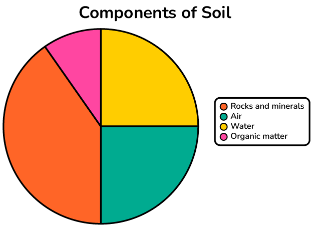 <p>I. Rocks and Minerals</p><p>II. Water</p><p>III. Air (different gasses)</p><p>IV. Organic Material (including living and dead organisms).</p>