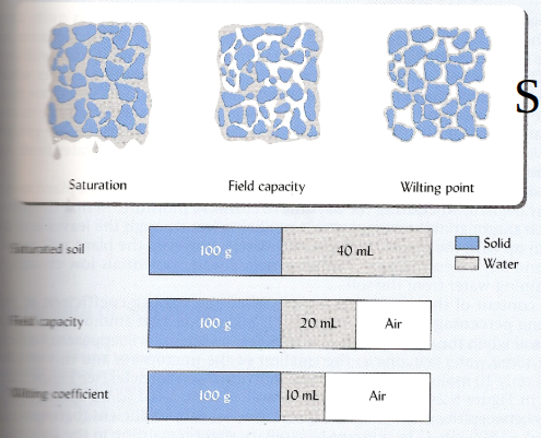 <p>saturated, field capacity, and wilting coefficient</p>