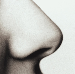 <p>un nez</p>