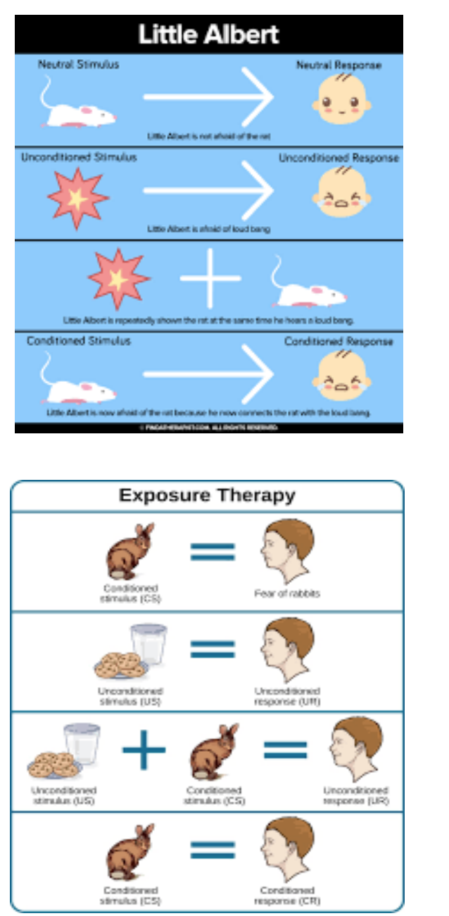 <ul><li><p><strong>Classical conditioning of emotions</strong></p><ul><li><p><strong>Fears and phobias </strong>can develop via classical conditioning (e.g., Little Albert experiment - Watson 1920) → conditioned to be fearful to white rat due to pairing with loud noise</p></li><li><p><strong>Attitudes and behaviors </strong>can also be conditioned (e.g., positive or negative reactions to stimuli based on associations) e.g. Peter experiment-Cover-Jones 1924) - overcame fear of furry objects through counter-conditioning - fear combined w positive experiences?</p></li></ul></li><li><p><strong>Classical conditioning in newborns</strong></p><ul><li><p>Possible but challenging</p></li><li><p>Most effective for <strong>biologically programmed</strong> <strong>reflexes </strong>like sucking</p></li><li><p>Takes more time but helps newborns learn important associations, such as breast/bottle gives milk</p><p></p></li></ul></li></ul><p></p>