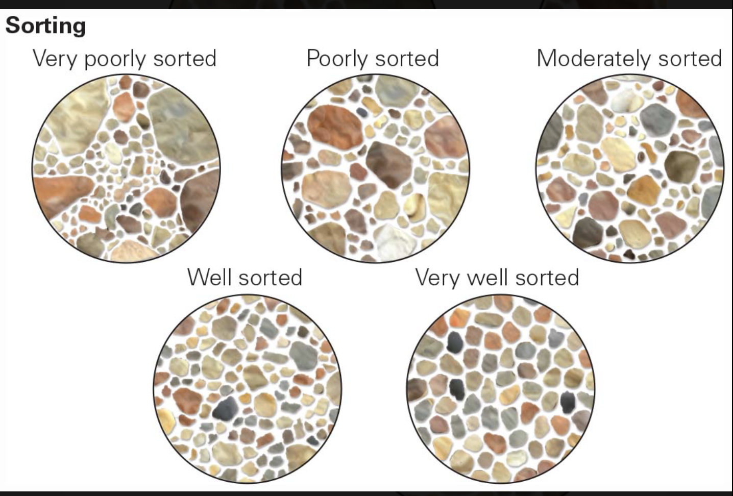 <p>indicates the proportion of clasts in a rock that are the same size where well-sorted sediment consists entirely of clasts that are the same size, whereas poorly sorted sediment contains a mixture of clast sizes</p><ul><li><p>range of clast sizes in a collection of sediment</p></li><li><p>degree to which sediment has been separated by flowing currents into different-sized fractions</p></li></ul><p></p>
