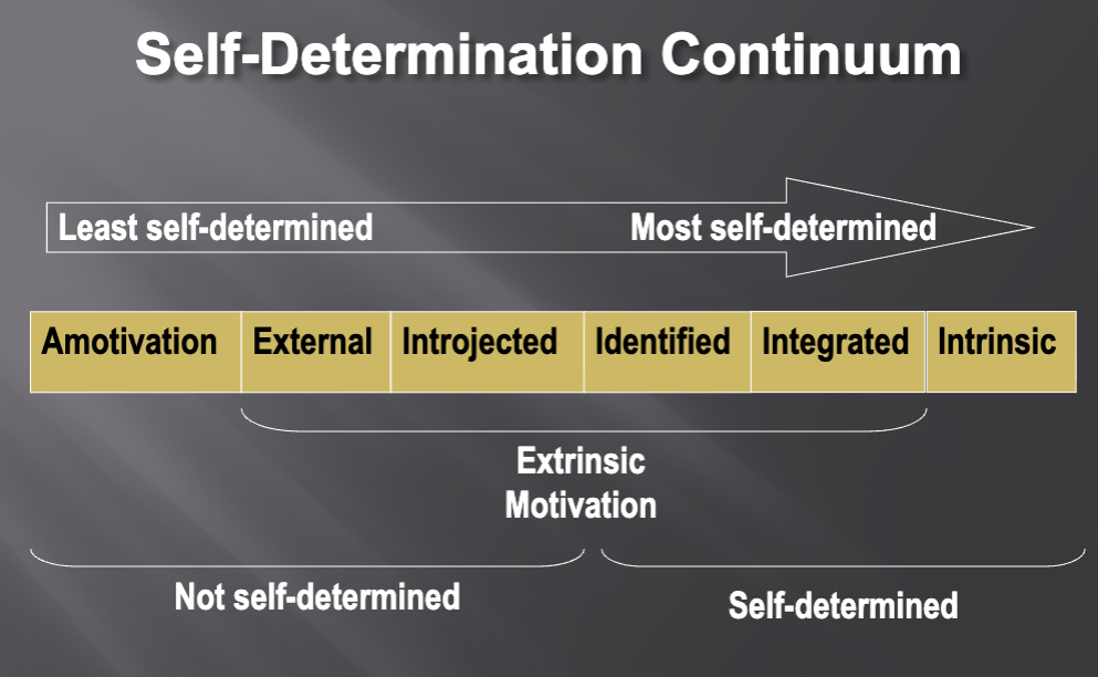 <ul><li><p>Amotivation</p></li><li><p>External Reg - performing activity to receive reward or avoid punishment</p></li><li><p>Introjected Reg - performing to avoid guilt and/or anxiety</p></li><li><p>Identified Reg - performing to achieve valued extrinsic outcome</p></li><li><p>Integrated Reg - performing becomes part of sense of self</p></li><li><p>Intrinsic Motivation - performing for activity's own sake</p></li></ul><p></p>