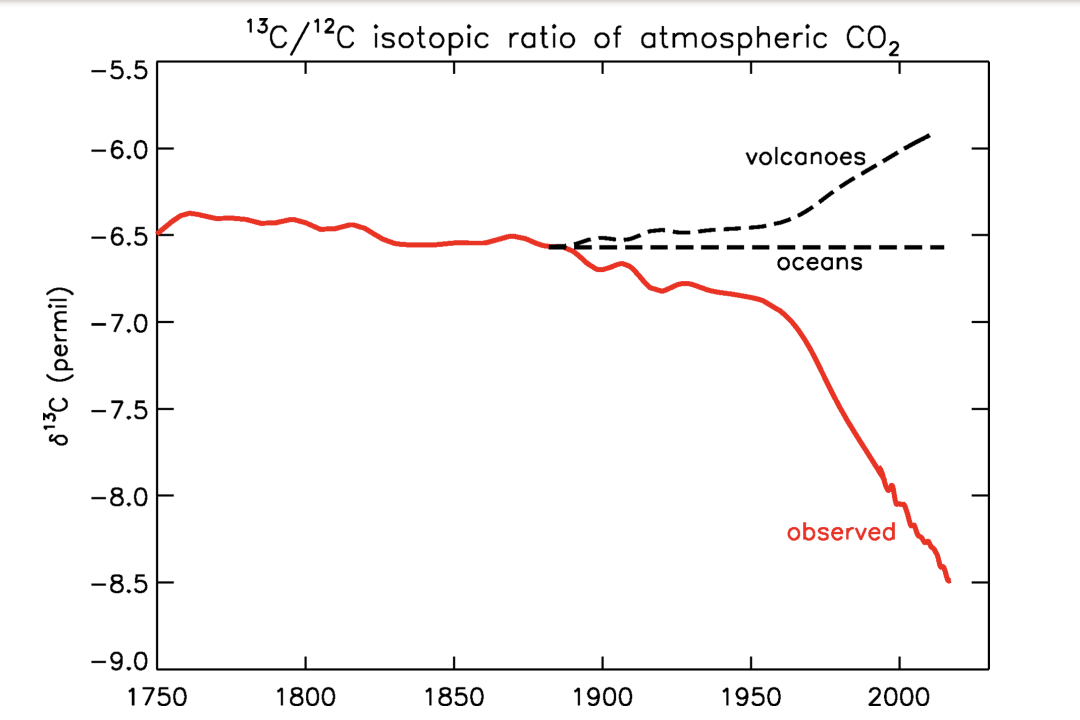 <ul><li><p>neither volcanic gases nor dissolved ocean waters have 13C/12C rations that mach the increase in atm carbon</p></li><li><p><span style="background-color: inherit; line-height: 19.55px; color: windowtext;">If came from volcanoes or upwelling etc -> 13/12 ratio should inc</span><span style="line-height: 19.55px; color: windowtext;">&nbsp;</span></p><ul><li><p class="Paragraph SCXO28036237 BCX0" style="text-align: left;"><span style="background-color: inherit; line-height: 19.55px; color: windowtext;">More 13 in atm&nbsp;</span><span style="line-height: 19.55px; color: windowtext;">&nbsp;</span></p></li><li><p class="Paragraph SCXO28036237 BCX0" style="text-align: left;"><span style="background-color: inherit; line-height: 19.55px; color: windowtext;">Doesn't match&nbsp;</span><span style="line-height: 19.55px; color: windowtext;">&nbsp;</span></p></li></ul></li><li><p class="Paragraph SCXO28036237 BCX0" style="text-align: left;"><span style="background-color: inherit; line-height: 19.55px; color: windowtext;">Line matches plants</span><span style="line-height: 19.55px; color: windowtext;">&nbsp;</span></p><ul><li><p class="Paragraph SCXO28036237 BCX0" style="text-align: left;"><span style="background-color: inherit; line-height: 19.55px; color: windowtext;">Plants alive today</span><span style="line-height: 19.55px; color: windowtext;">&nbsp;</span></p></li><li><p class="Paragraph SCXO28036237 BCX0" style="text-align: left;"><span style="background-color: inherit; line-height: 19.55px; color: windowtext;">Plants that died in carboniferous -> fossil fuels</span><span style="line-height: 19.55px; color: windowtext;">&nbsp;</span></p></li></ul></li></ul><p></p>