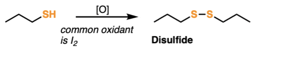 <p>2 thiols loose their hydrogens and bond together with the addition of a catalytic acid to forma disulfide</p>