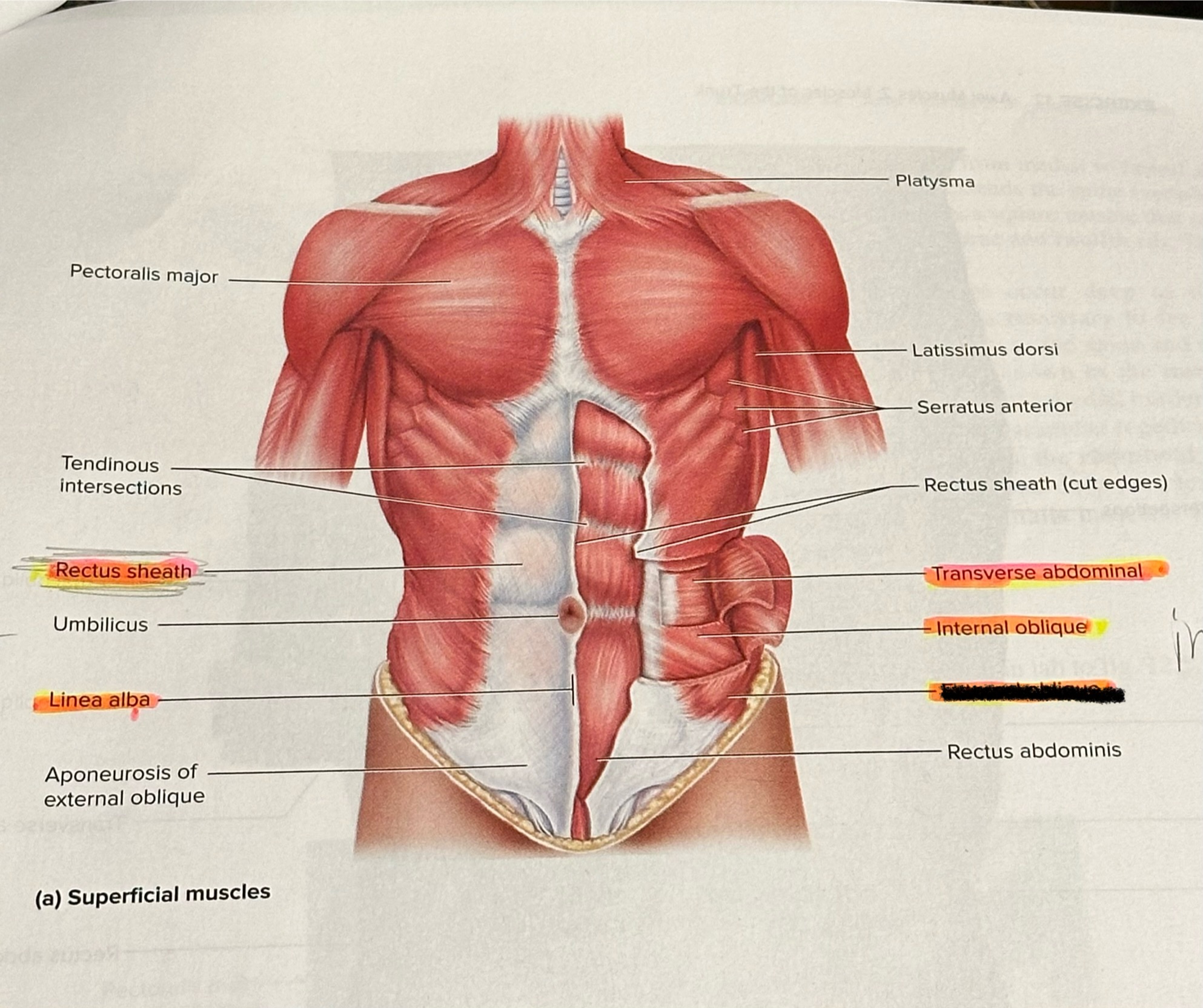 <p>Location crossed out </p>