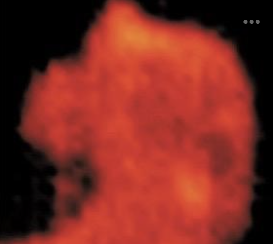 <p>What <strong><em>type of object</em></strong> is this image?</p>