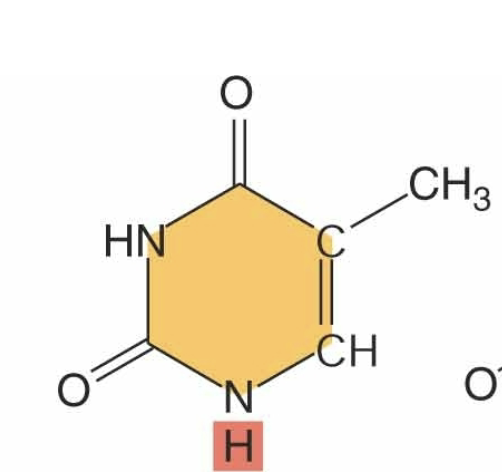 <p>identify</p>