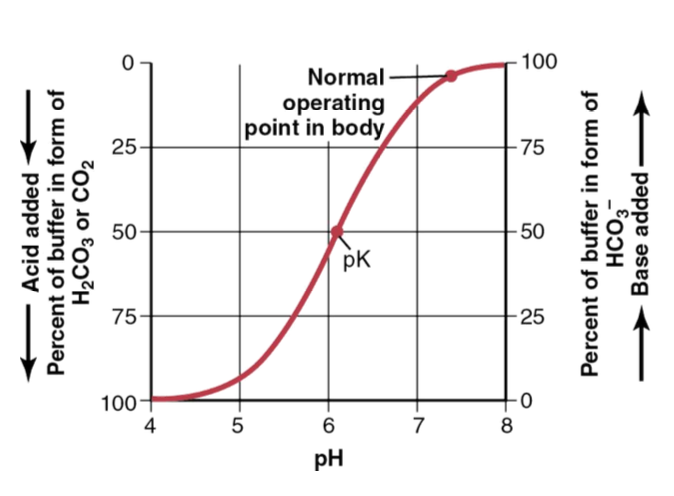 <p>At the normal operating point, what percentage of the buffer is in the HCO₃⁻ form?</p>