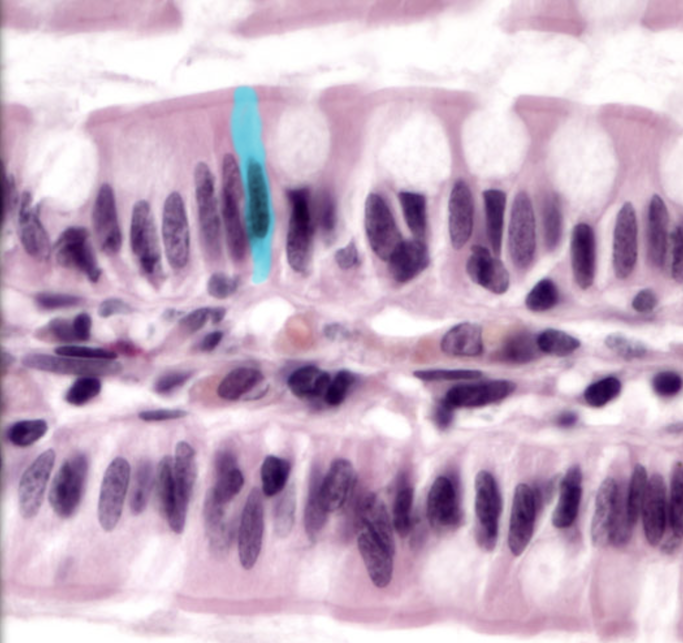 <p>What is highlighted</p>