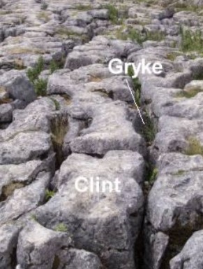 <p><span>Definition: A surface of exposed limestone rock divided into blocks (clints) and cracks (grykes).</span></p><p></p><p><span>Formation: Rainwater collects in joints and dissolves the rock by carbonation, widening cracks into grykes and leaving raised blocks called clints.</span></p><p></p>