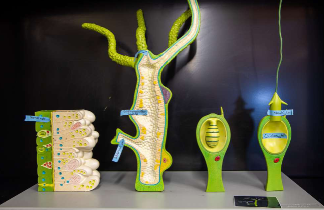 <p>you got this!</p>