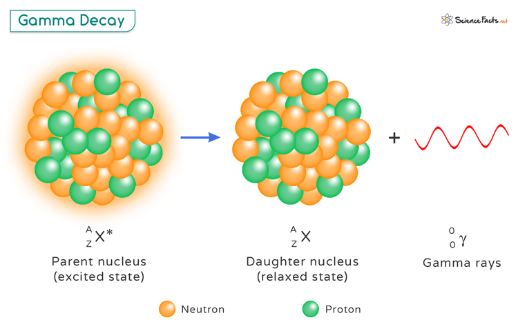 <p><strong>emits gamma ray</strong> & rearranges protons & neutrons</p><ul><li><p>highest energy</p></li><li><p>no change in AN & MN and stays the same element</p></li></ul><p></p>