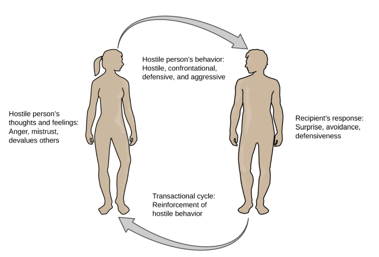 <p>The <strong>transactional model of hostility</strong> explains how hostility reinforces itself:</p><ol><li><p>A hostile person thinks others cannot be trusted.</p></li><li><p>They behave aggressively, defensively, or confrontationally.</p></li><li><p>Others respond with avoidance, defensiveness, or hostility.</p></li><li><p>These reactions reinforce the person's hostile beliefs, creating a <strong>cycle</strong> that increases stress and the risk of <strong>cardiovascular disease</strong>.</p></li></ol><p></p>