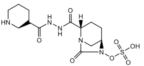 <p>name</p>
