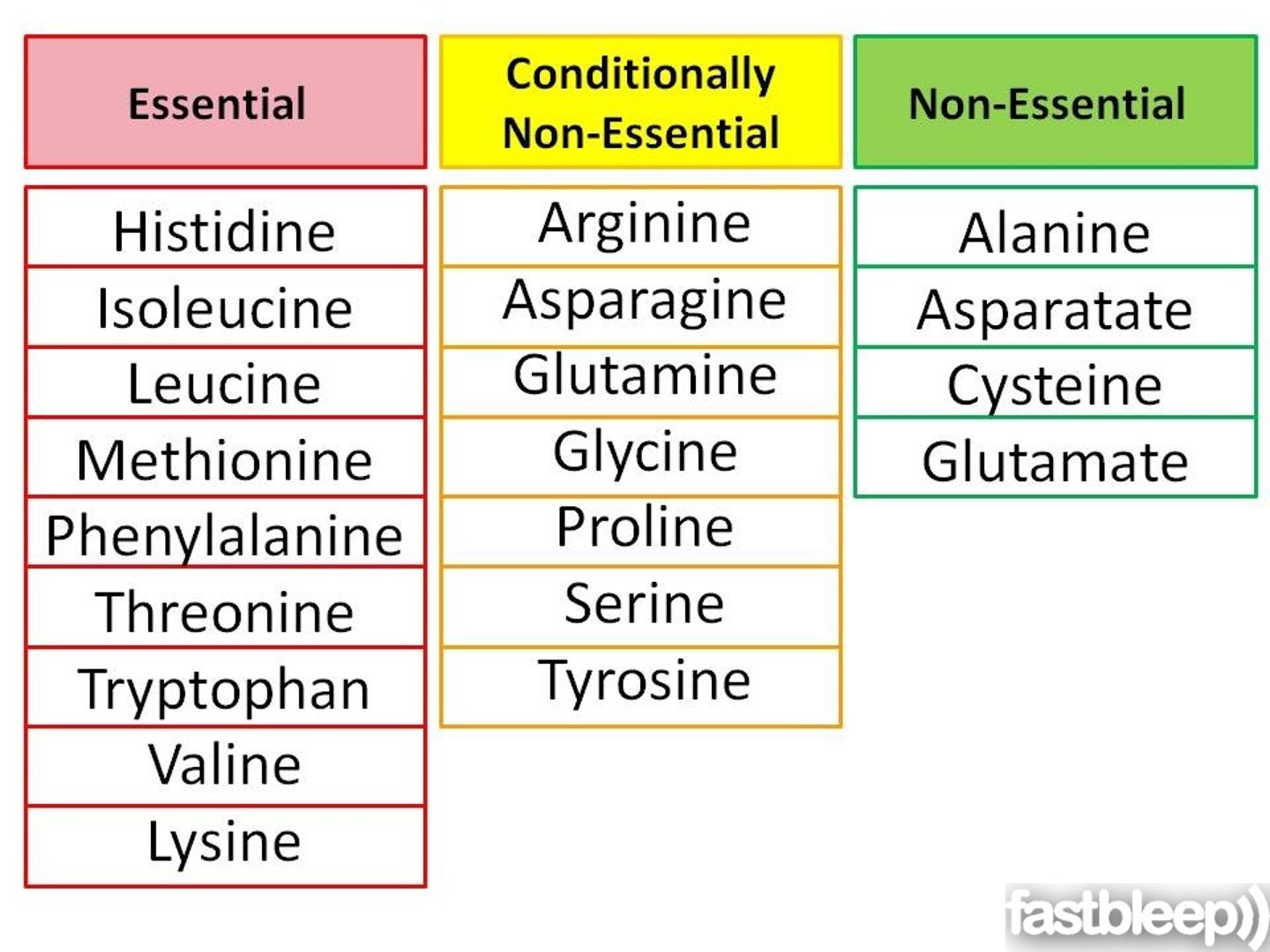 <p>Amino acids that can be produced by the body but may be needed in greater quantities under specific conditions.</p><p>-Arginine: Needed in greater quantity for growth (e.g., childhood, pregnancy).</p><p>-Tyrosine: Becomes essential if Phenylalanine intake is inadequate.</p><p>-Cysteine: Becomes essential if Methionine intake is inadequate.</p>