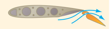 knowt flashcard image