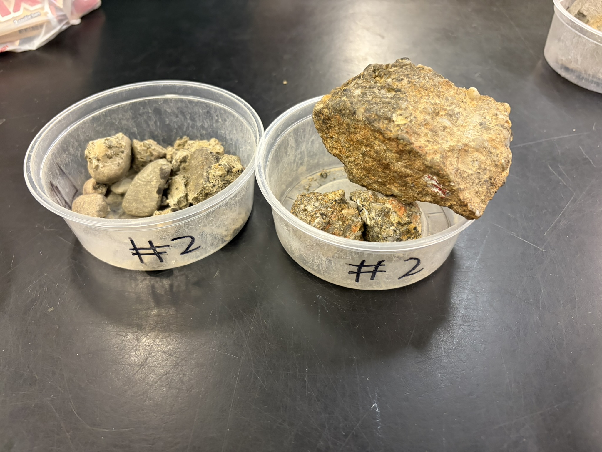 <p>Detrital<br>Clastic<br>River channel<br>High energy</p>