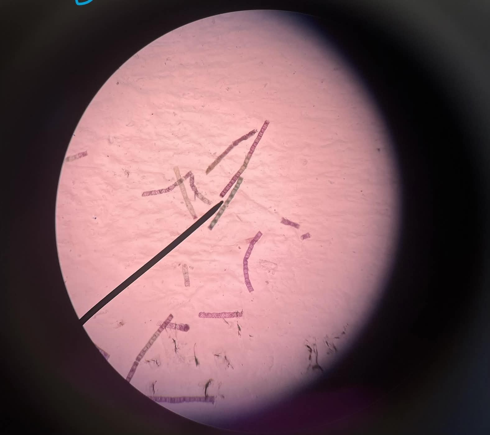<p>What is this?</p>