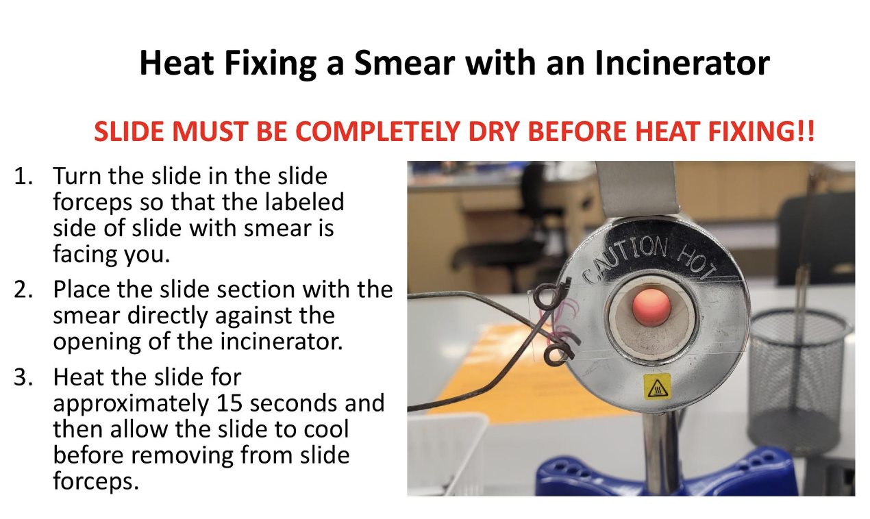 <p>heat fixing a smear with an incinerator </p>