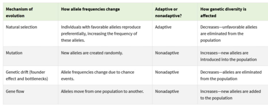 <p><span style="background-color: transparent; font-family: "Times New Roman", serif;">Adaptive – natural selection<br>Nonadaptive – mutation, genetic drift (founder and bottleneck), gene flow (random changes, not based on fitness)</span></p>