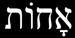 <p></p>