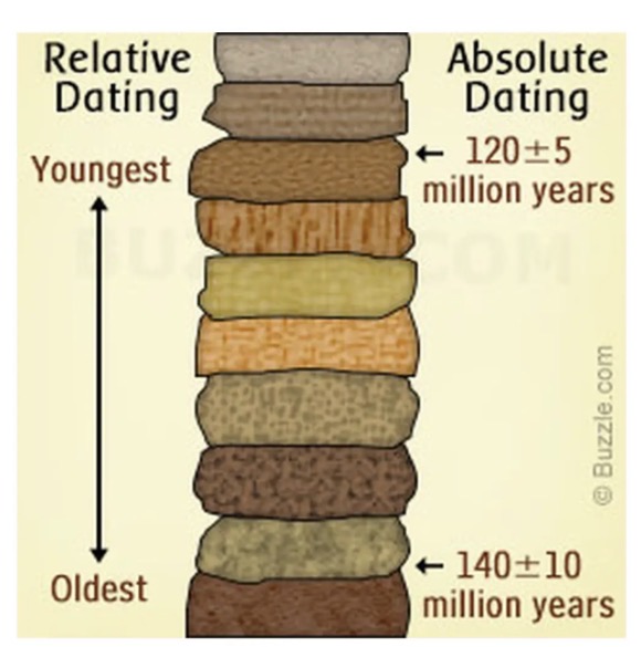 <ul><li><p>relative dating</p></li><li><p>Absolute dating</p></li></ul><p></p>