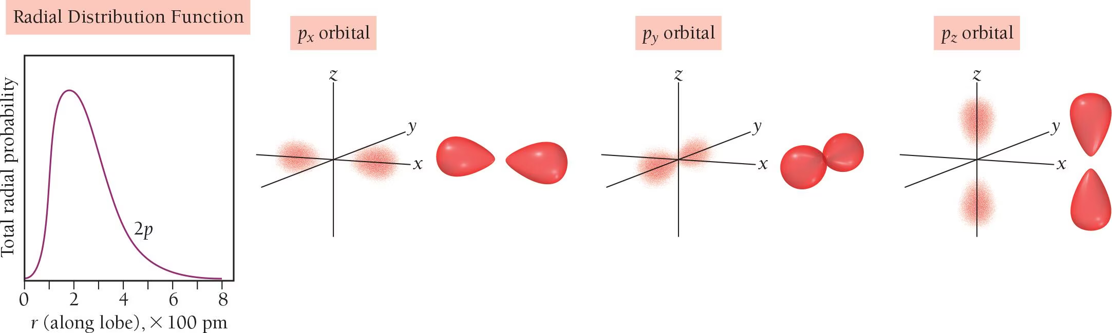 <p>The three p orbitals differ only in their ___________ (size/shape/orientation) and are orthogonal (mutually perpendicular to one another).</p>