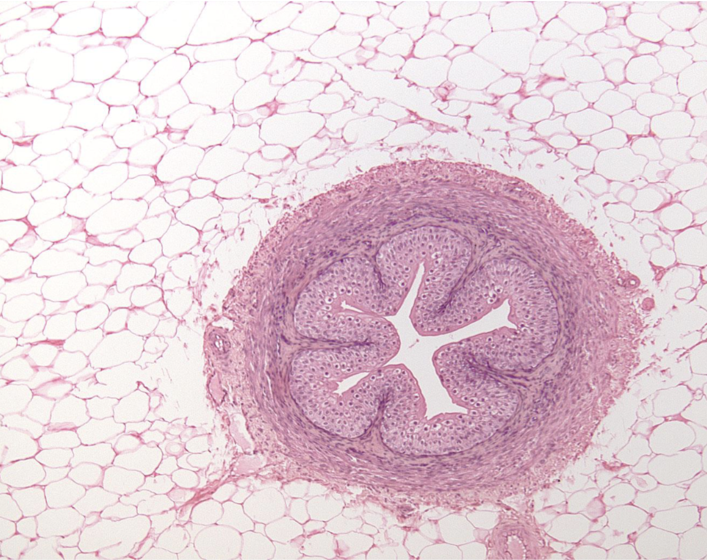 <p>What is this?</p>