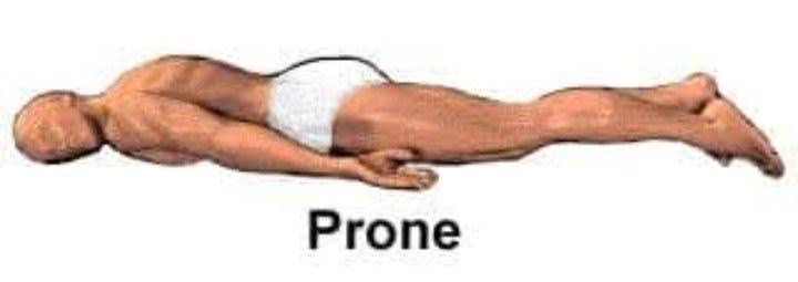 <p>face down (on stomach)</p>