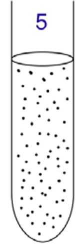 <p>Aerotolerant anaerobe </p>
