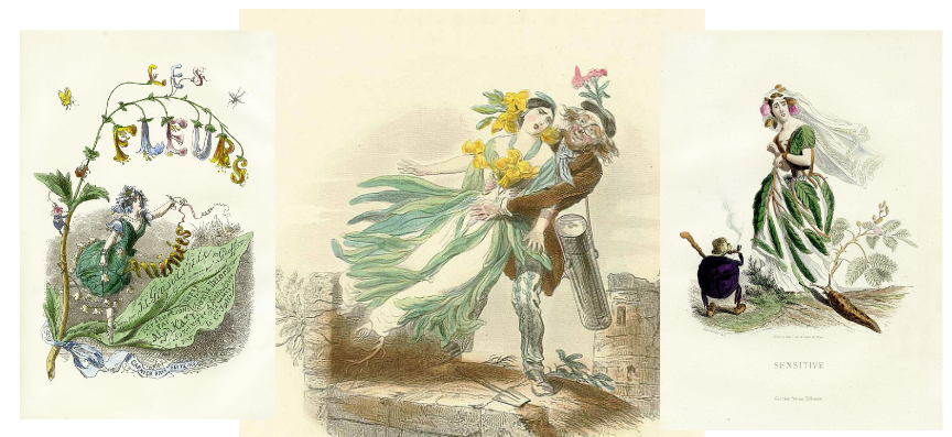 <ul><li><p>flowers x women</p></li><li><p>right: sensitive so she is dressed up as a plant that closes when she’s anxious </p></li><li><p>women as passive & needing a caregiver</p></li></ul><p></p>