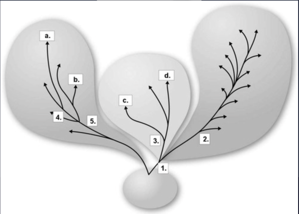 <p><span>In Figure 10.1 the closest ancestor for both species "a." and species "b." would be which of the following?</span></p><ul><li><p>4</p></li><li><p>1</p></li><li><p>3</p></li><li><p>5</p></li></ul><p></p>