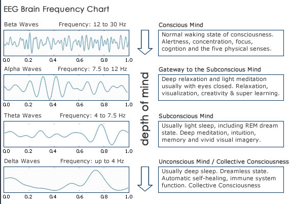 <p><span>An EEG shows&nbsp;</span><span style="color: mediumseagreen !important;"><strong>ALPHA</strong></span><span> waves when </span><strong><u>awake but&nbsp;tired</u></strong><span>, eyes closed</span></p>