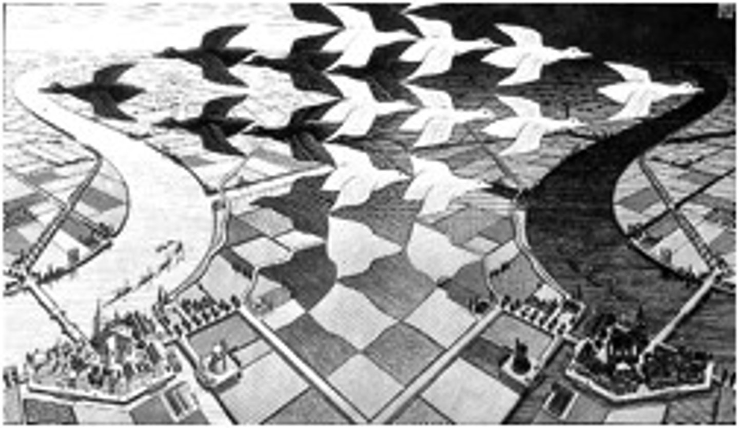 <p>This object Escher created, called the "Regular division of the plane with asymmetric congruent polygons" aided Escher's mathematics integration into his art.</p>