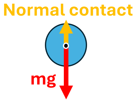 <p>Centripetal force F = mg - N</p><p>Normal contact N = mg - F</p>