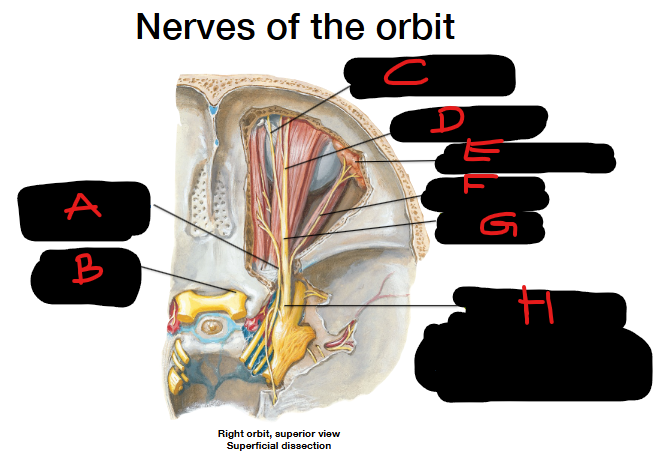 <p>Define E</p>