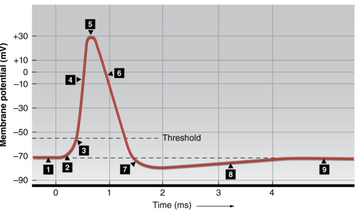 <p>What happens at 7-9?</p>