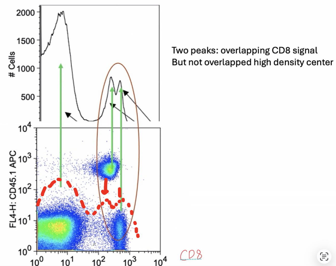 <ul><li><p>Darker color: Less cells</p></li><li><p>x/y axis: Fluorescent Intensity = Expression level</p></li><li><p>Bottom left corner: Double negative population (does not have high levels of either cell population listed on axes)</p></li></ul><p></p>