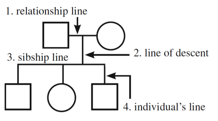 <p>Note that double lines in a relationship line so inbreeding/consanguinity</p>