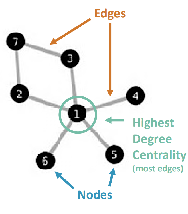 <ul><li><p>Animal social networks are descriptions of social structures</p></li><li><p>Networks consist of nodes connected by edges</p></li><li><p>Consists of nodes and edges</p></li></ul><p></p>
