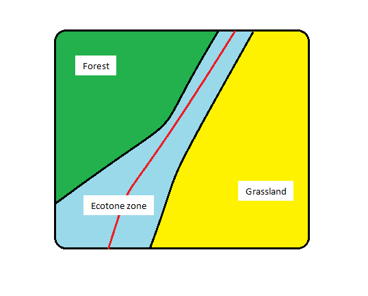 <p>Boundary between two environmental regions (biomes)</p>