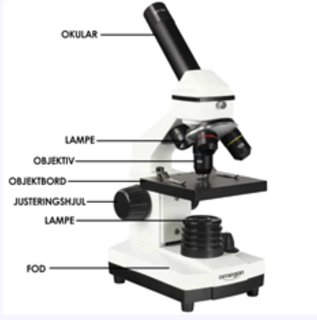 <p>Den linse, du kigger igennem. Forstørrer billedet yderligere</p>