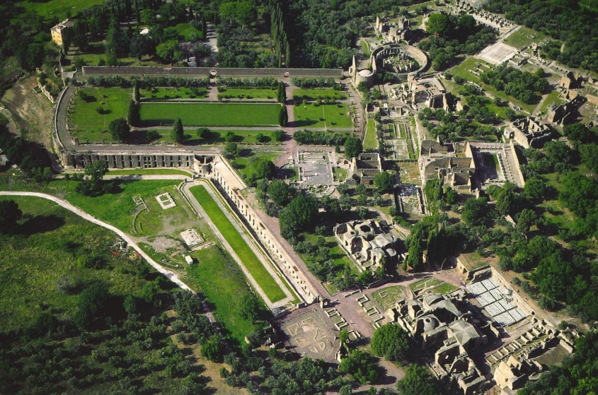 term image