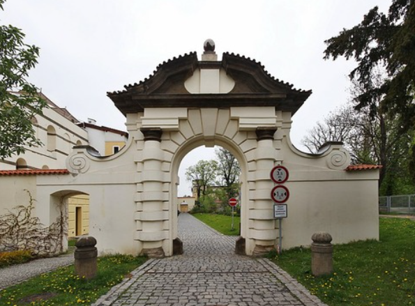 term image