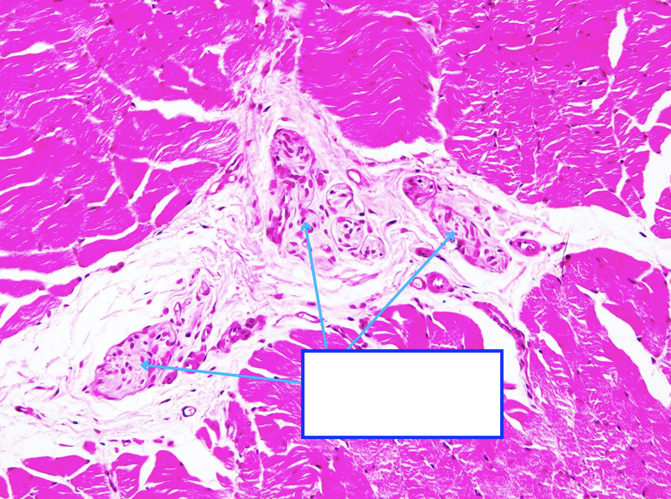 <p>Cấu trúc gì ?</p>