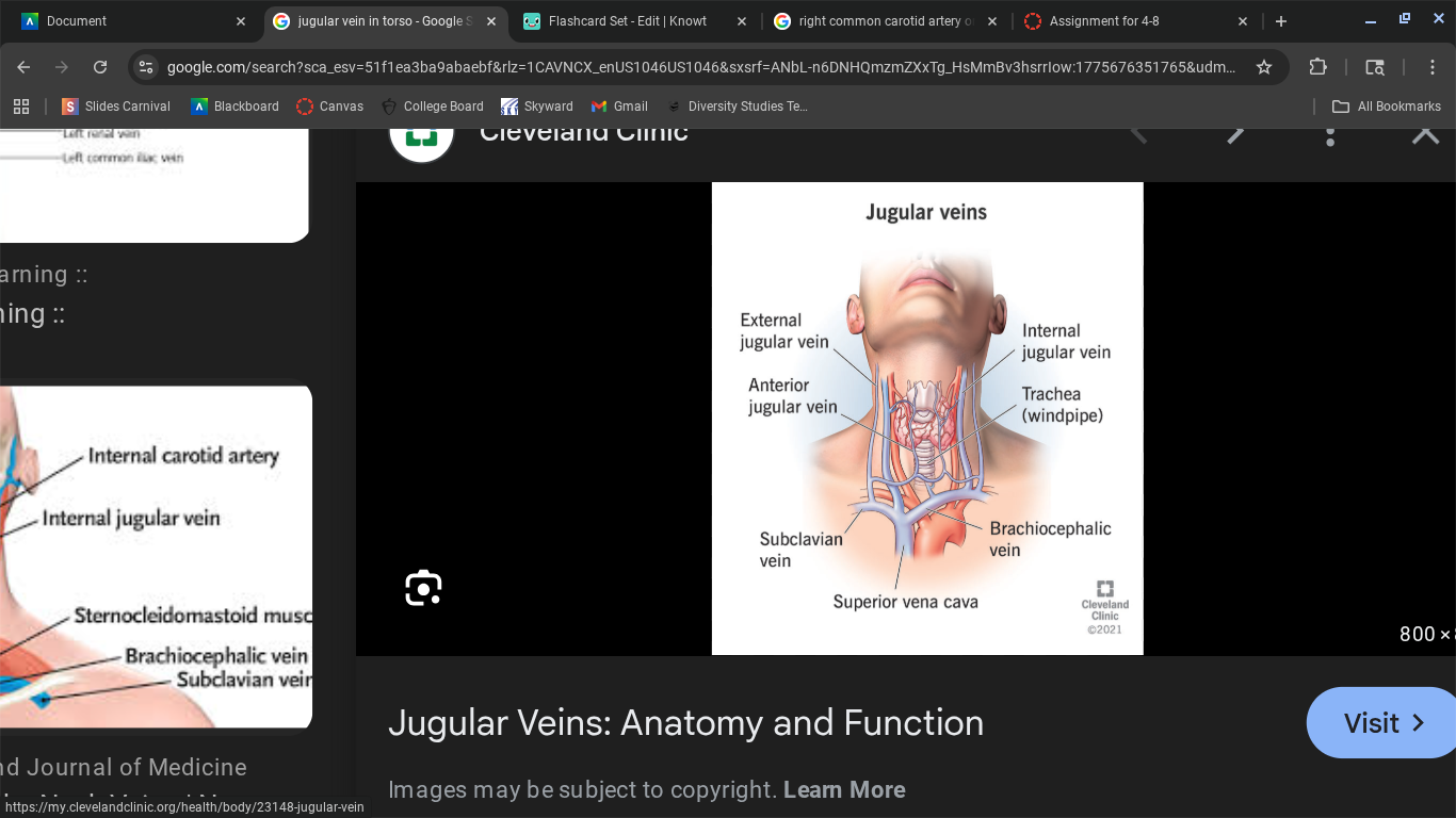 knowt flashcard image